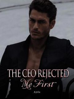 The CEO Rejected Me First